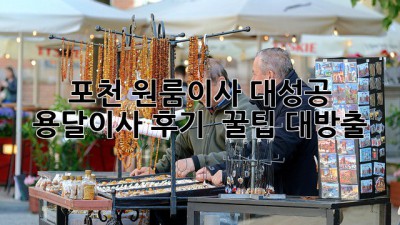 포천 원룸이사 대성공! ✨ 용달이사 후기 & 꿀팁 대방출 🚚
